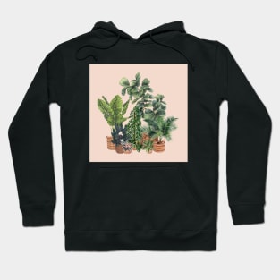 House Plants Illustration 2 On Pink Hoodie